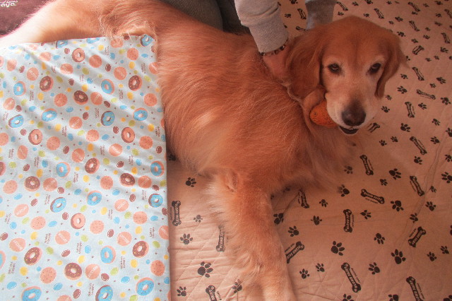 ファイル 3292-1.jpg