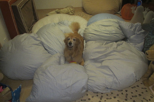 ファイル 3296-2.jpg