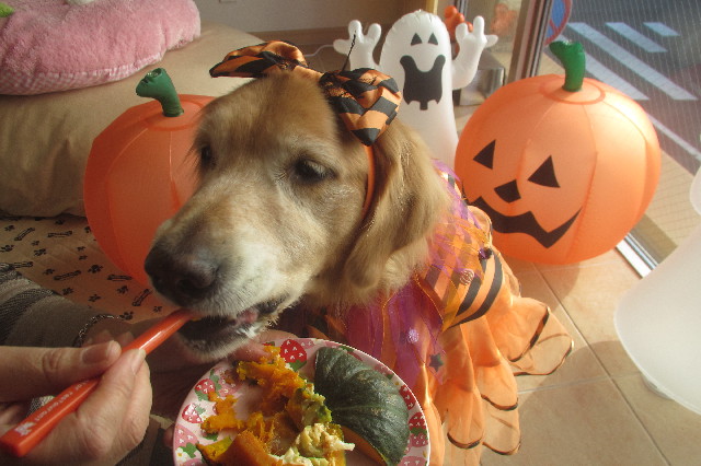 ファイル 3298-3.jpg