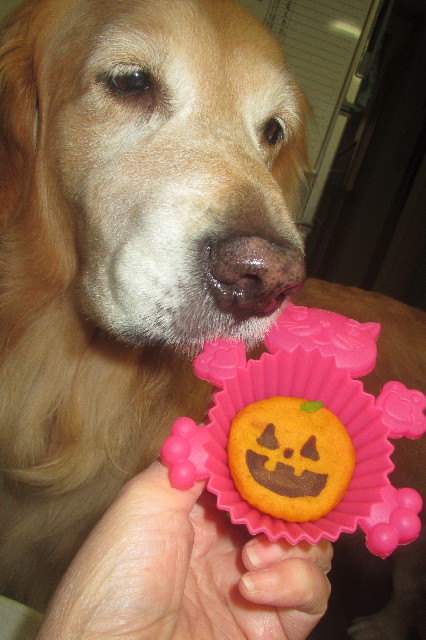 ファイル 3298-4.jpg