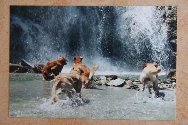 ファイル 330-1.jpg