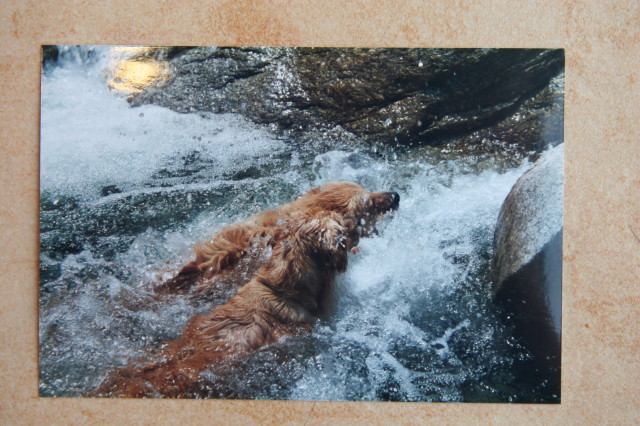 ファイル 330-2.jpg