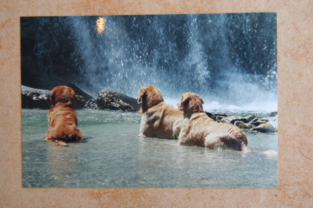 ファイル 330-3.jpg