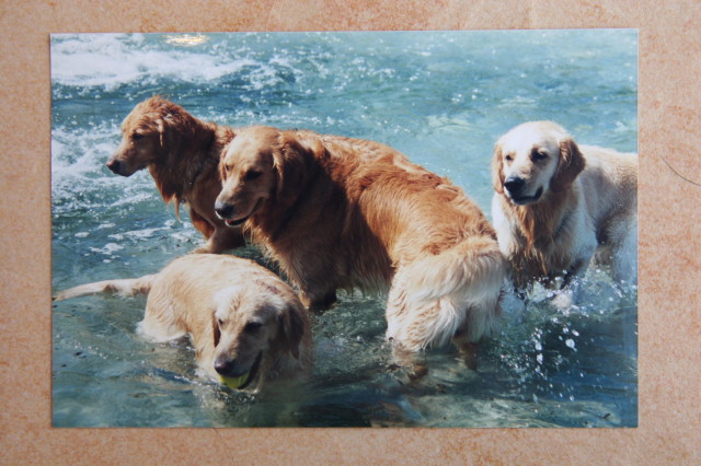 ファイル 330-5.jpg