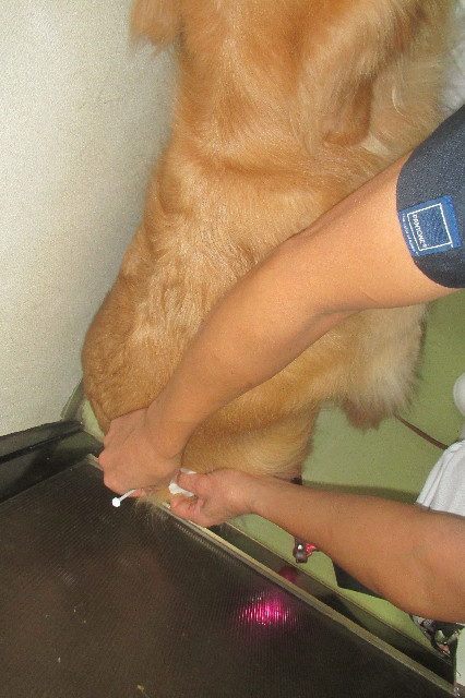 ファイル 3305-3.jpg