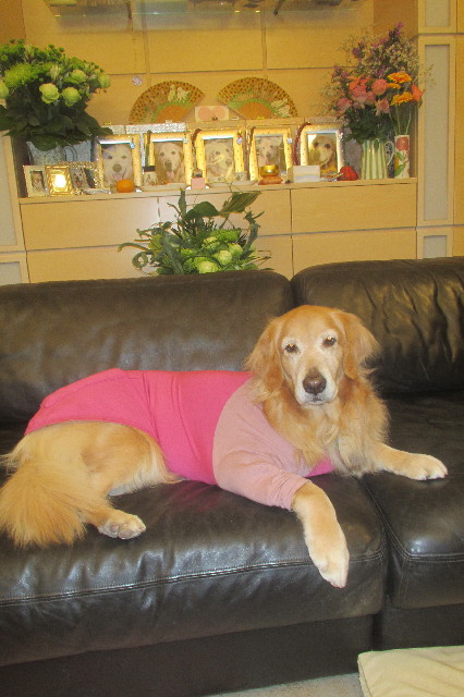 ファイル 3306-5.jpg