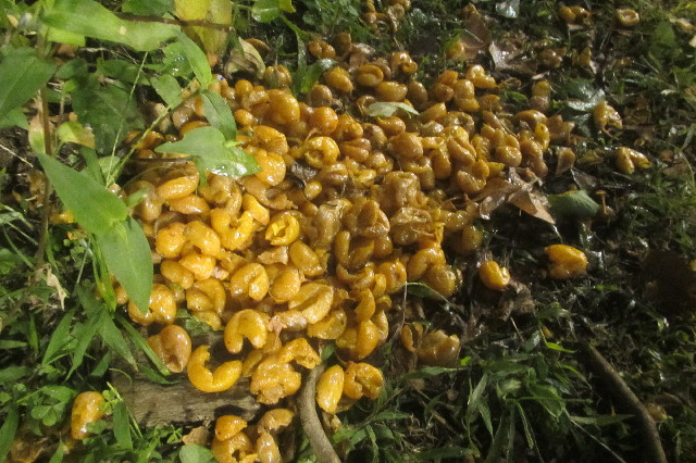 ファイル 3307-5.jpg