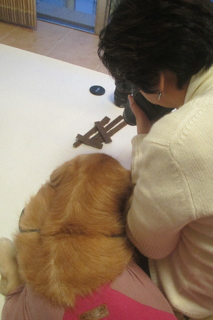 ファイル 3308-5.jpg