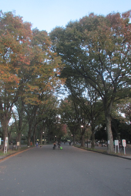 ファイル 3312-1.jpg