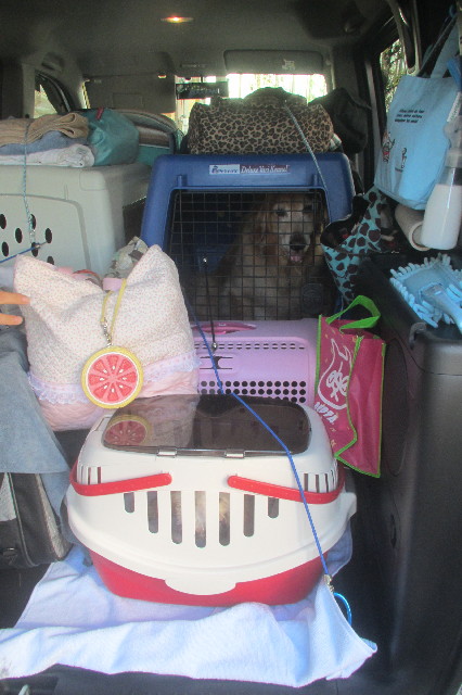 ファイル 3313-4.jpg