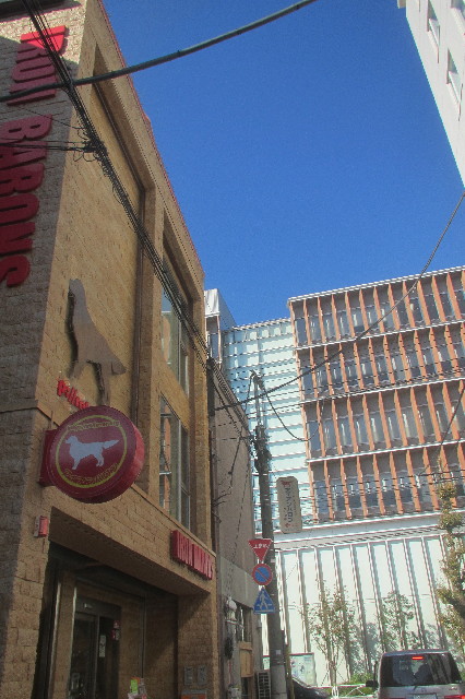 ファイル 3313-5.jpg