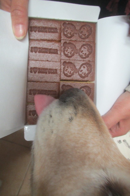 ファイル 3314-2.jpg