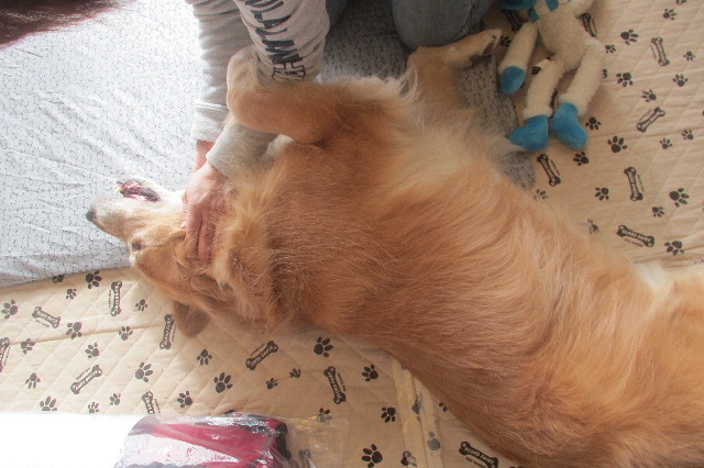 ファイル 3314-5.jpg