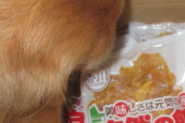 ファイル 3316-5.jpg