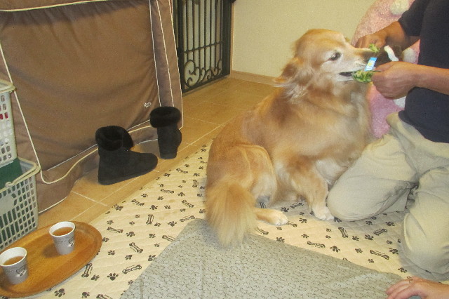 ファイル 3318-5.jpg