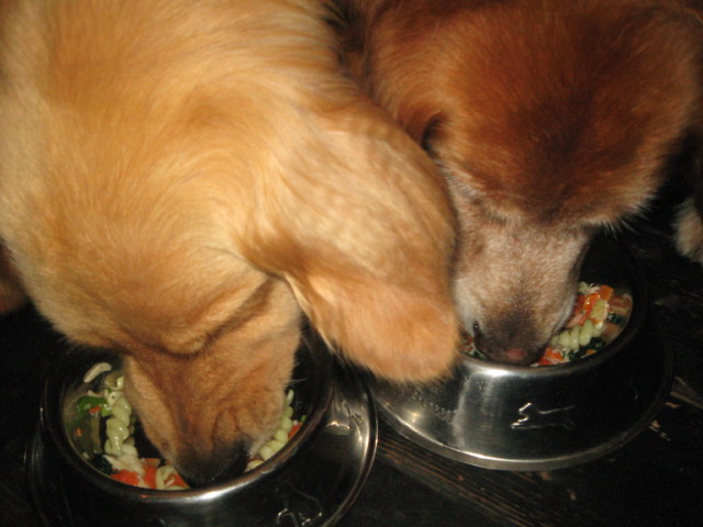 ファイル 332-4.jpg