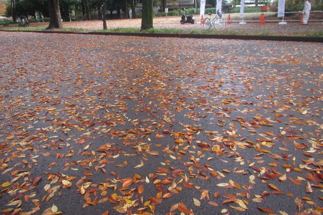 ファイル 3321-2.jpg