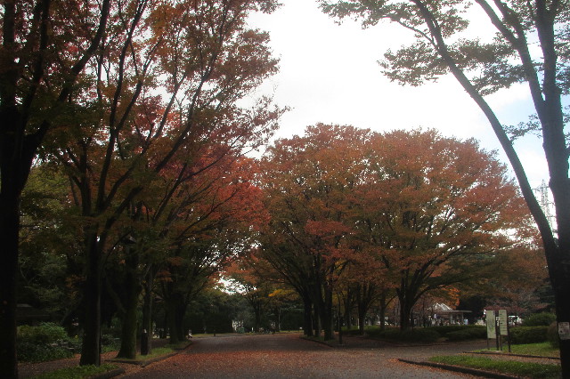 ファイル 3321-4.jpg