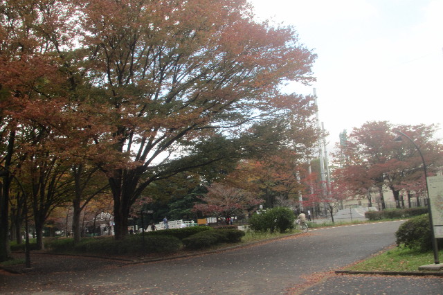 ファイル 3321-5.jpg