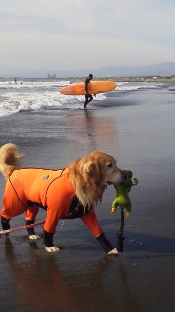 ファイル 3322-5.jpg