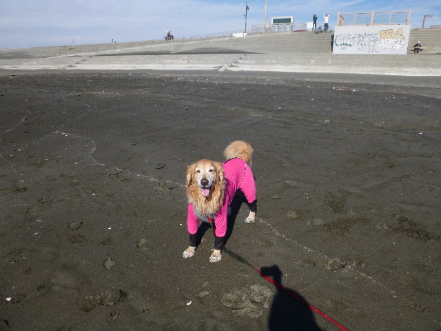 ファイル 3323-2.jpg