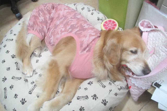 ファイル 3323-5.jpg