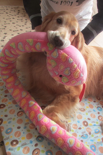 ファイル 3324-4.jpg