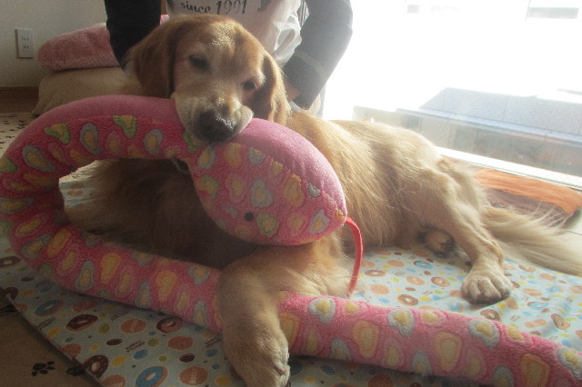 ファイル 3324-5.jpg