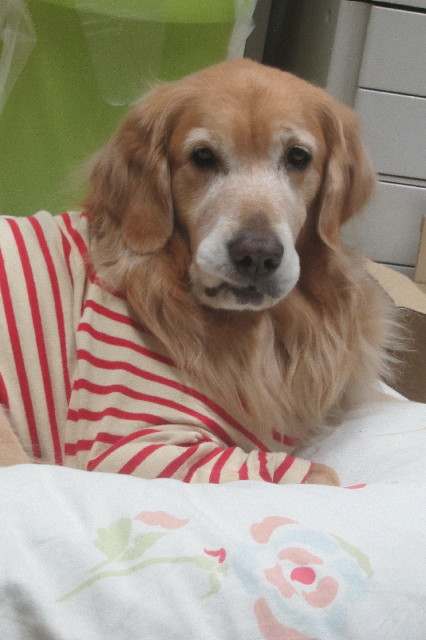 ファイル 3327-5.jpg