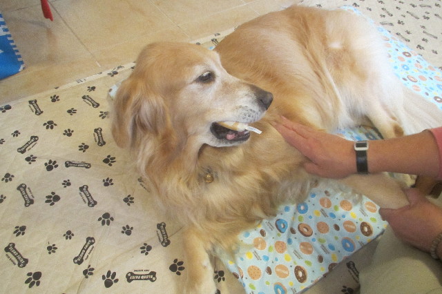 ファイル 3328-2.jpg