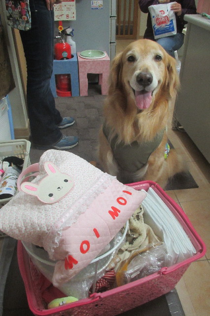 ファイル 3328-4.jpg