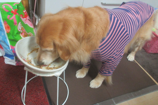 ファイル 3333-1.jpg