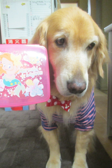 ファイル 3333-2.jpg