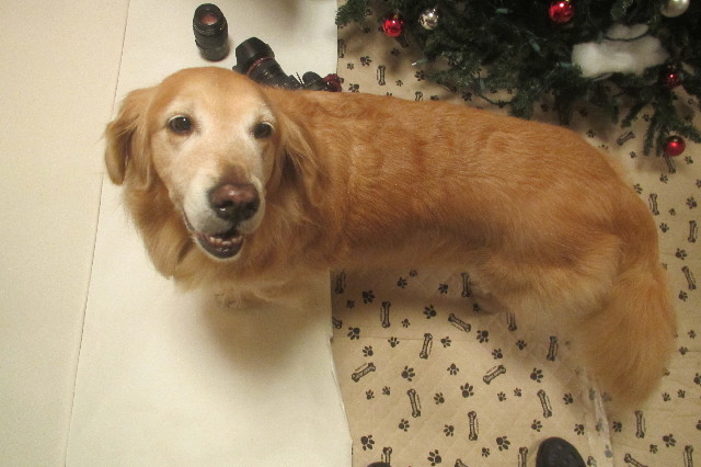 ファイル 3334-4.jpg