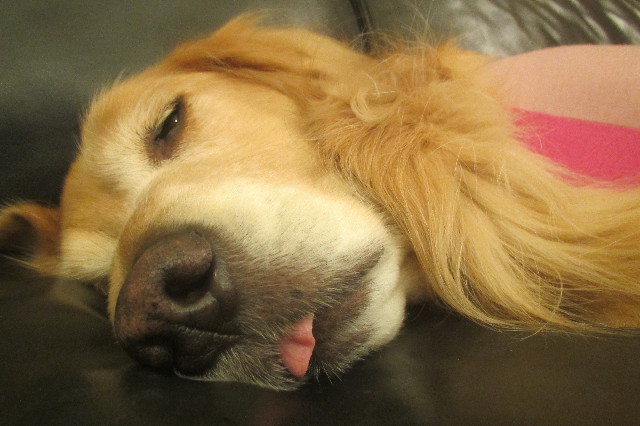 ファイル 3342-1.jpg