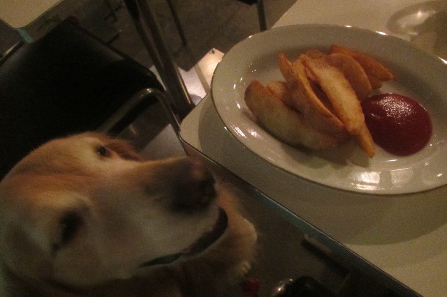 ファイル 3342-3.jpg