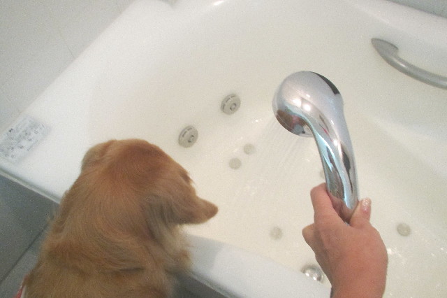 ファイル 3343-1.jpg