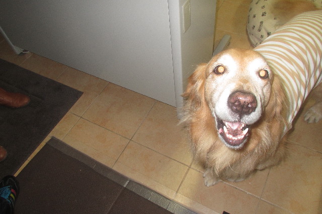 ファイル 3343-3.jpg