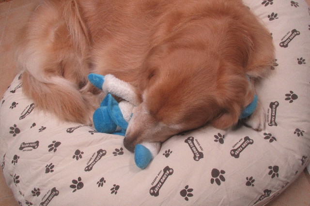 ファイル 3343-4.jpg