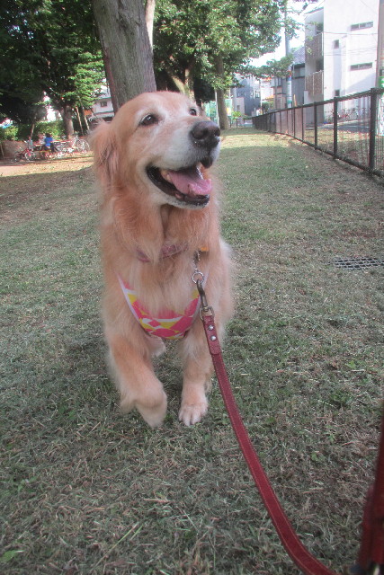 ファイル 3343-5.jpg