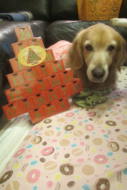 ファイル 3344-4.jpg