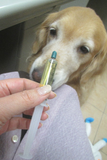 ファイル 3345-1.jpg