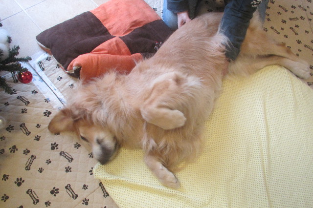 ファイル 3345-2.jpg