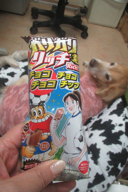 ファイル 3345-5.jpg