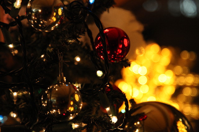 ファイル 3347-3.jpg