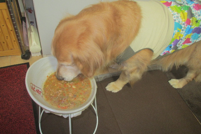 ファイル 3348-2.jpg