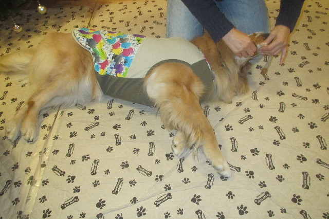 ファイル 3348-3.jpg