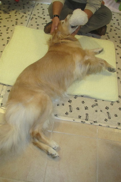 ファイル 3349-2.jpg