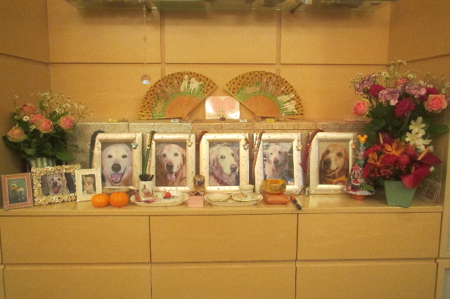 ファイル 3349-4.jpg