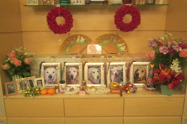 ファイル 3350-5.jpg